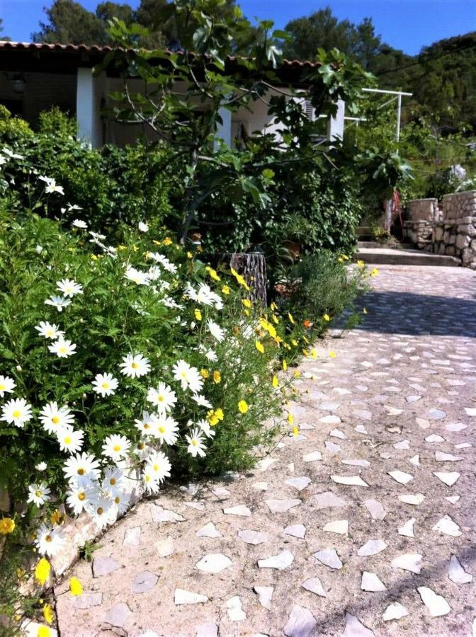Studio Dolores-Apartment By The Sea Maranovići Εξωτερικό φωτογραφία